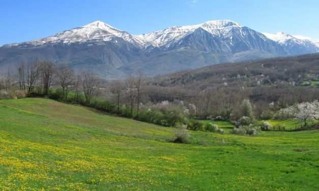 VILLAGGIO CON CASETTE SU RUOTE