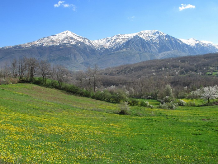 Amatrice