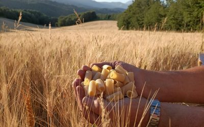 Amatrice Terra Viva