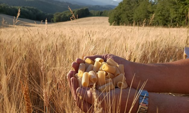 Amatrice Terra Viva