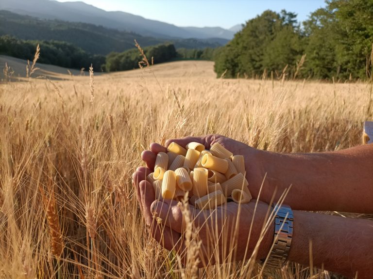 Amatrice Terra Viva