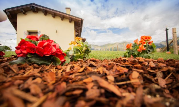 ALBERGO DIFFUSO AMATRICE